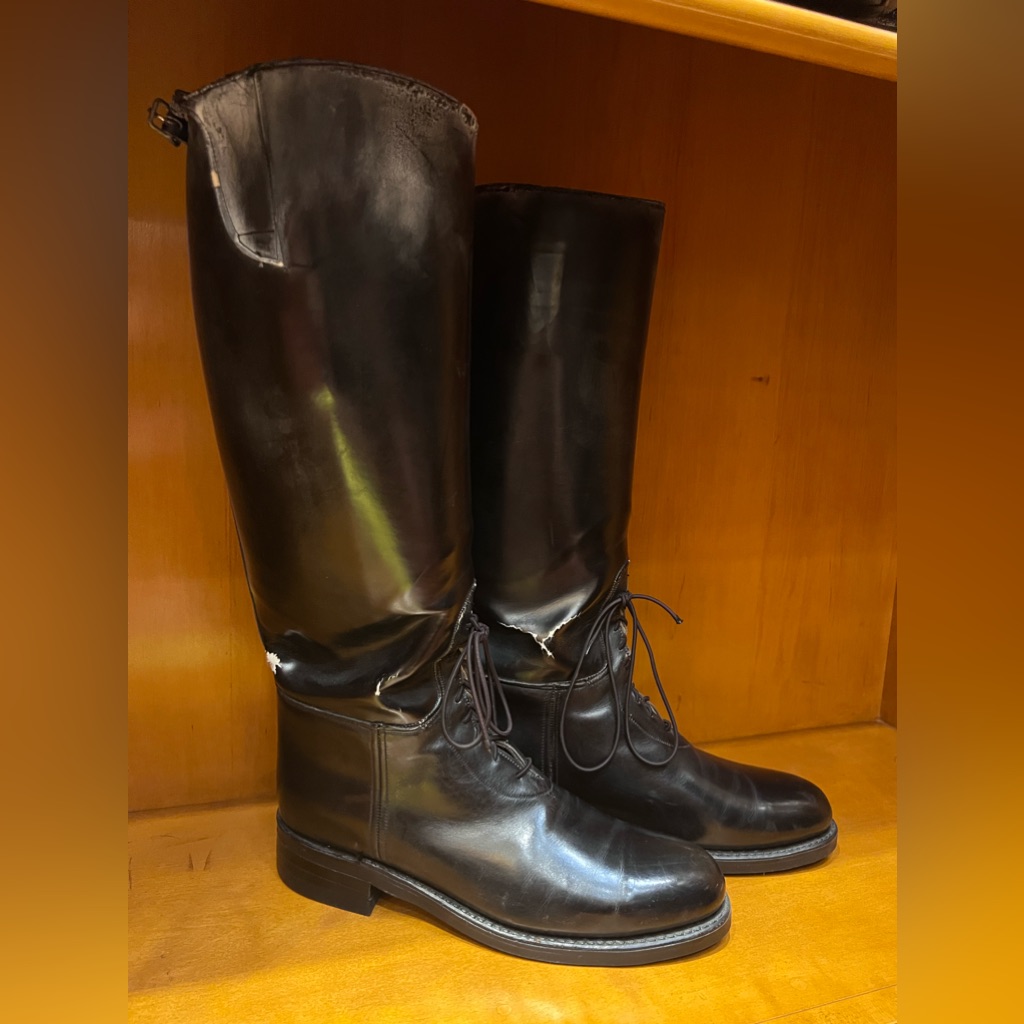 Dehner’s Tall Patrol Motorcycle Boots